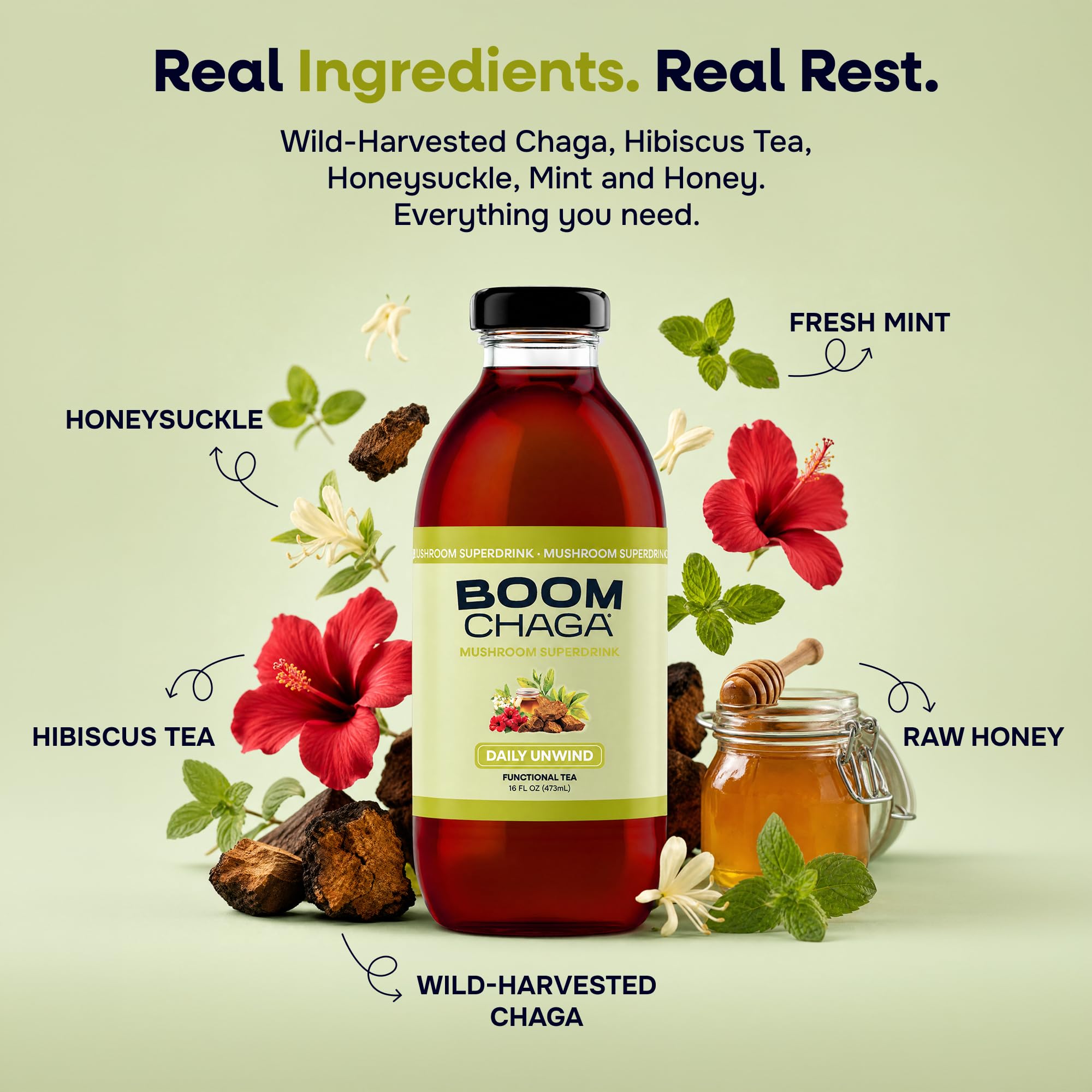 Chaga Mushroom Functional Tea, Honey Sweetened, 16 fl oz Bottles, 12-Pack