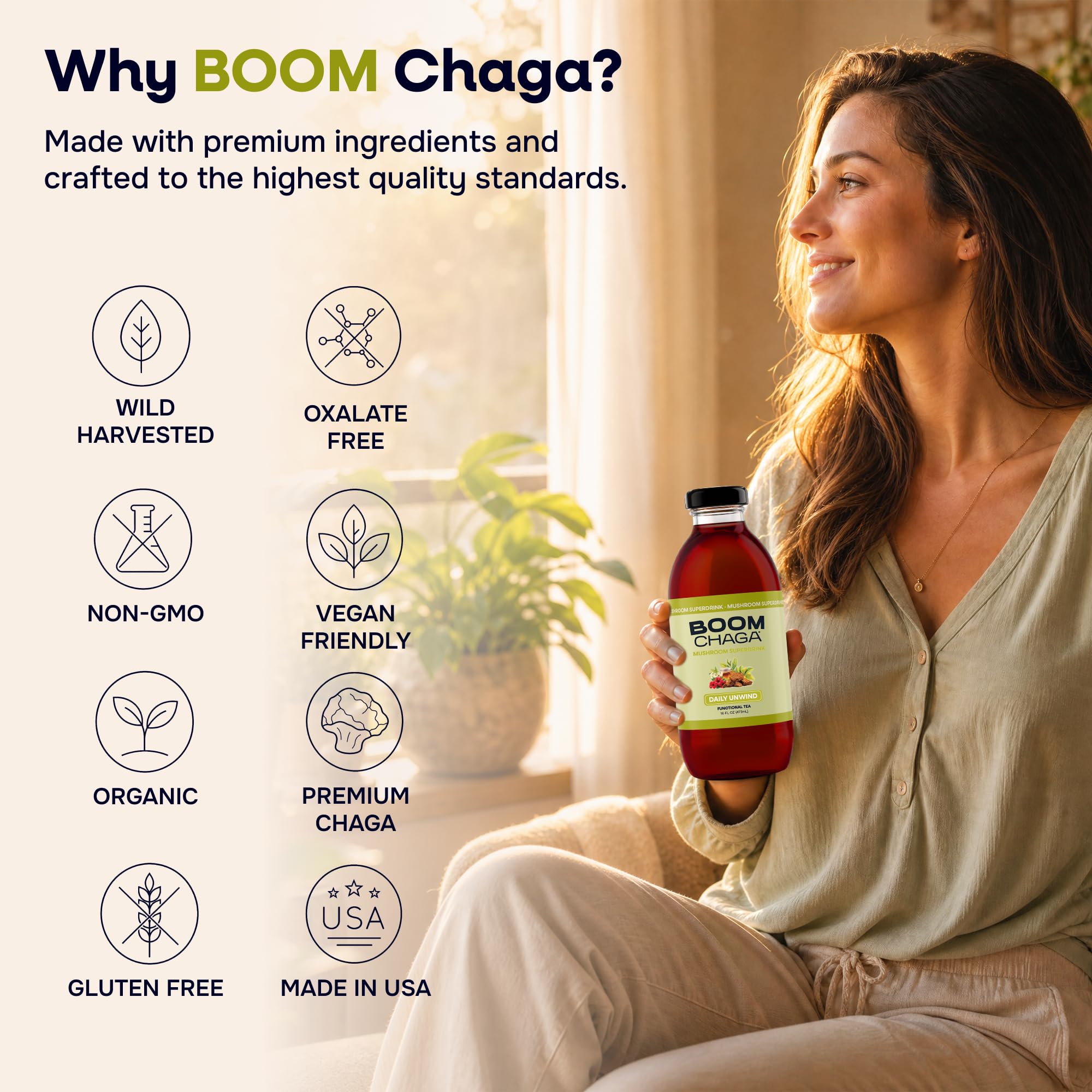 Chaga Mushroom Functional Tea, Honey Sweetened, 16 fl oz Bottles, 12-Pack