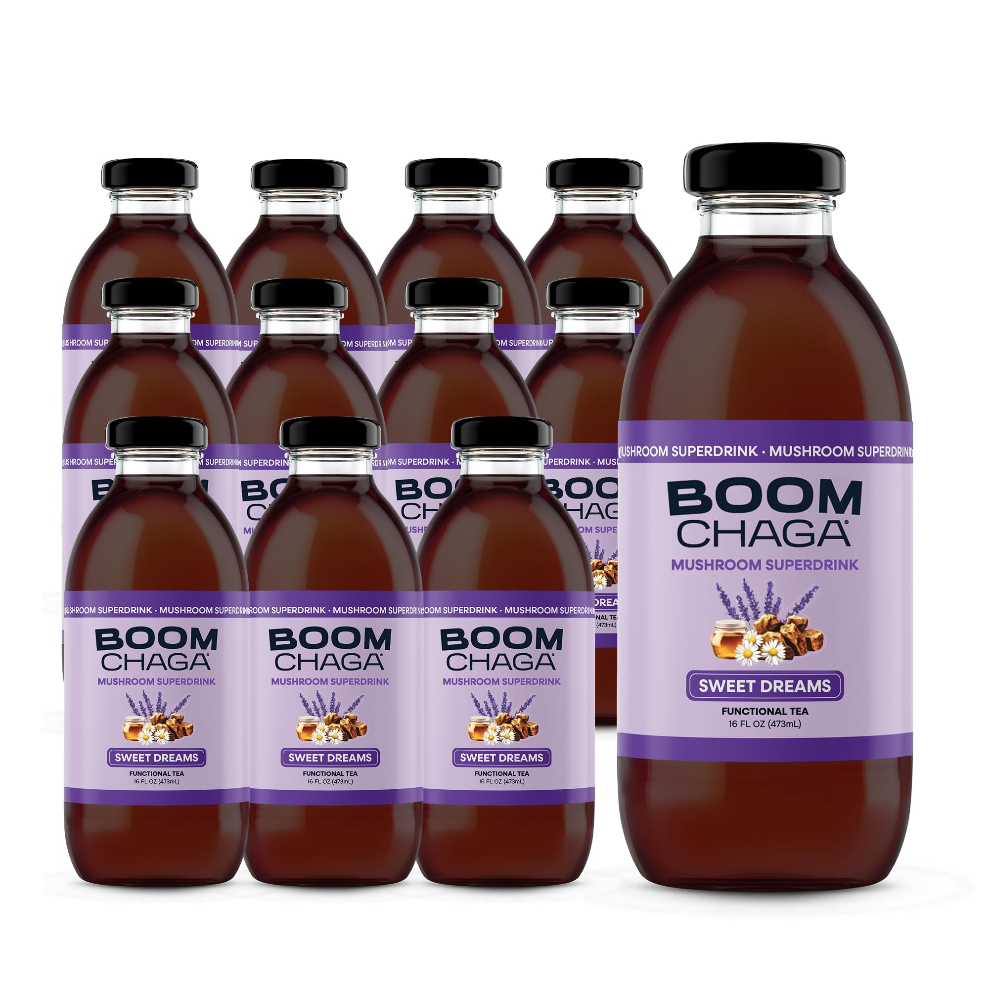 Chaga Mushroom Functional Tea, Honey Sweetened, 16 fl oz Bottles, 12-Pack